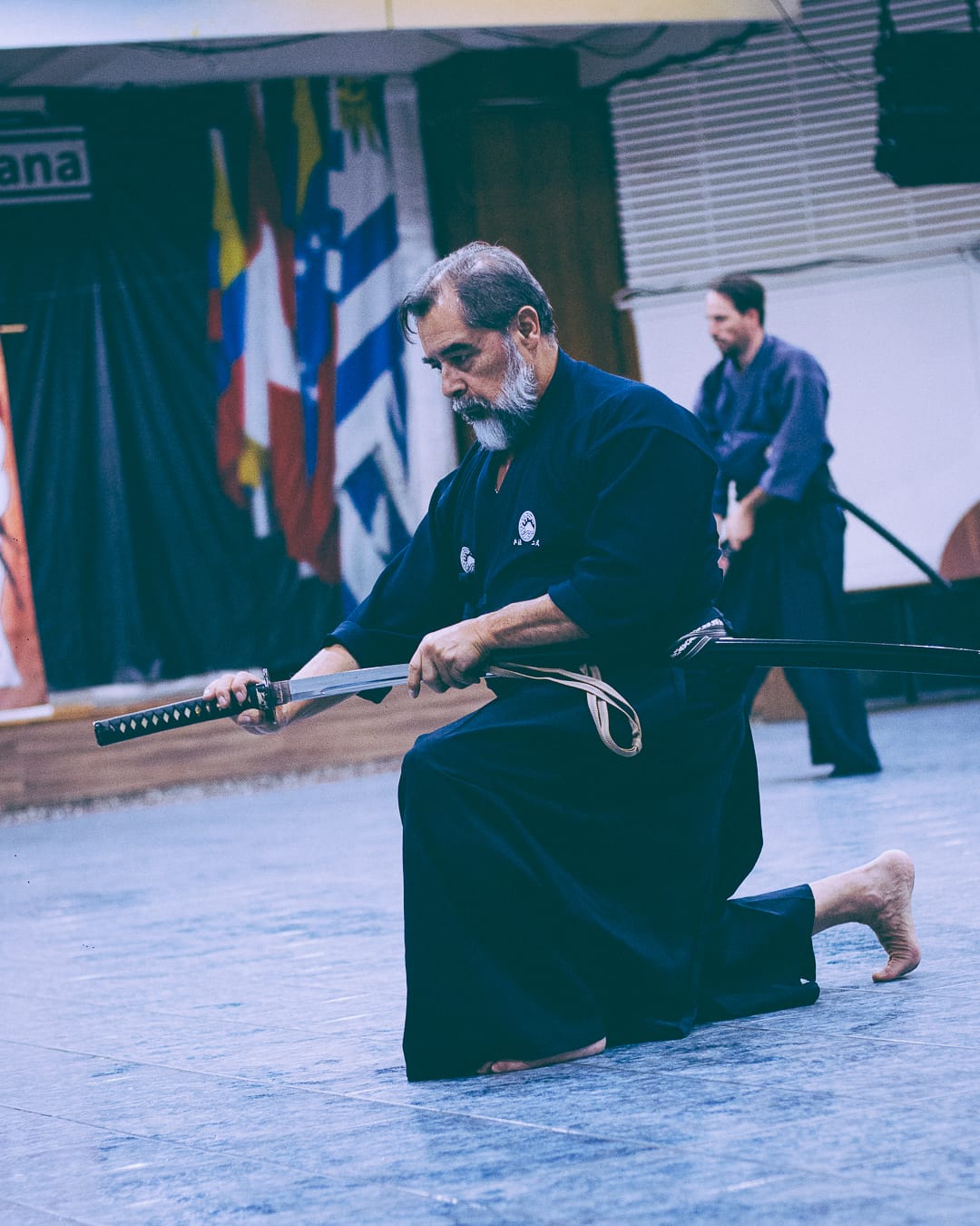 iaijutsu